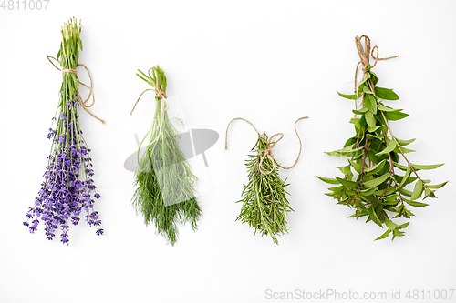 Image of greens, spices or medicinal herbs on white