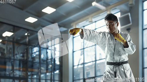 Image of Confident korean man in kimono practicing hand-to-hand combat, martial arts