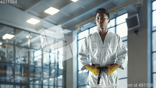 Image of Confident korean man in kimono practicing hand-to-hand combat, martial arts