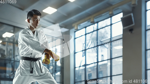 Image of Confident korean man in kimono practicing hand-to-hand combat, martial arts