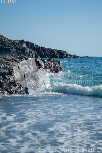 Image of beautiful wild beach with black sand