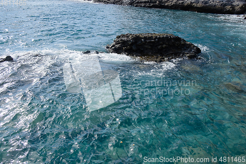 Image of beautiful wild beach with black sand