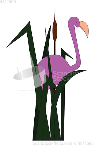 Image of Flamingo among grasses vector or color illustration