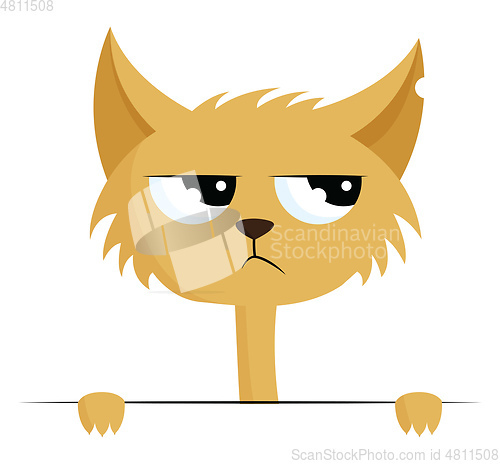 Image of Angry cat with torn ear, vector color illustration.