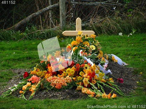 Image of Graveyard  26.10.2008