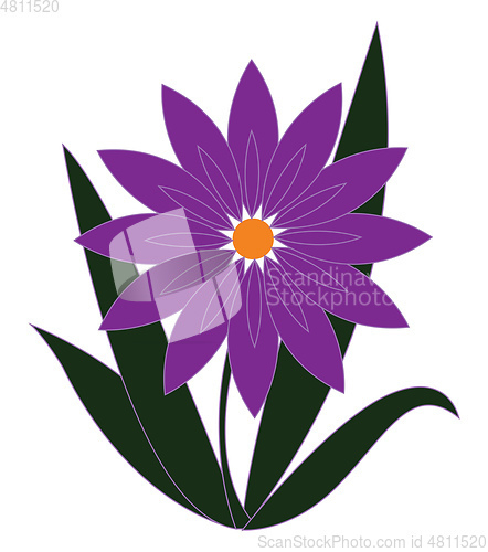 Image of Purple flower with orange pestle and green leaves vector illustr