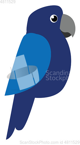 Image of Cute little cartoon blue parrot vector or color illustration