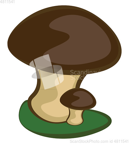 Image of Cute mom and baby cartoon mushrooms vector or color illustration