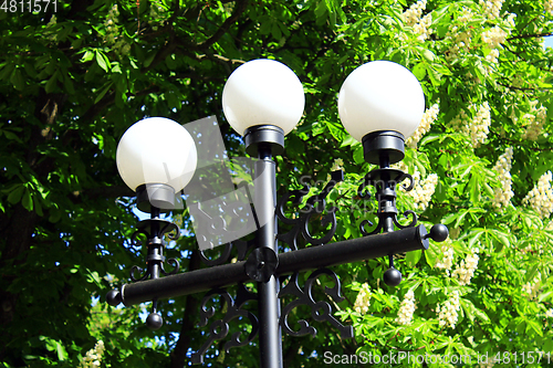 Image of plafonds of lanterns in city park