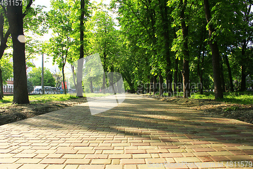 Image of Beautiful park with many green trees