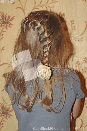 Image of head of young girl with nice braids