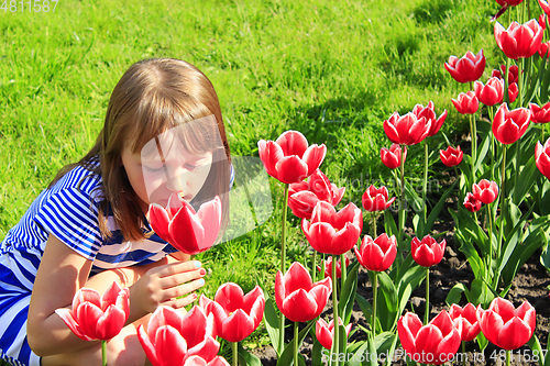 Image of girl smells red tulips on the flower-bed
