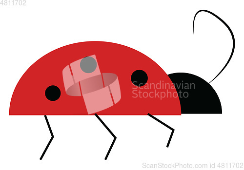 Image of A red bug vector or color illustration
