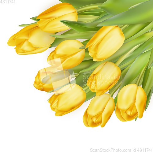 Image of Bouquet of yellow tulips. EPS 10