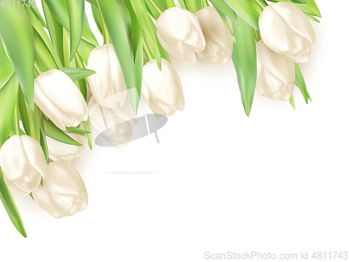 Image of Tulips decorative background. EPS 10