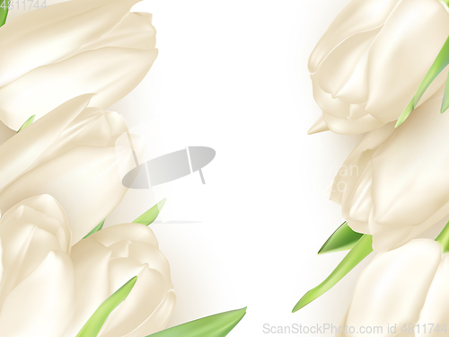 Image of Isolated tulip frame. EPS 10