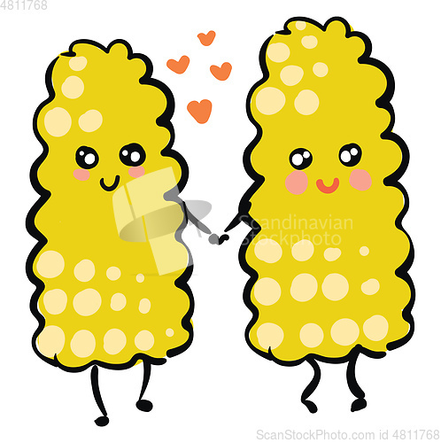 Image of Two happy corns in love holding hands vector illustration on whi