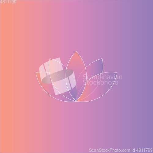 Image of Portrait of a white lotus over a pink gradient background vector