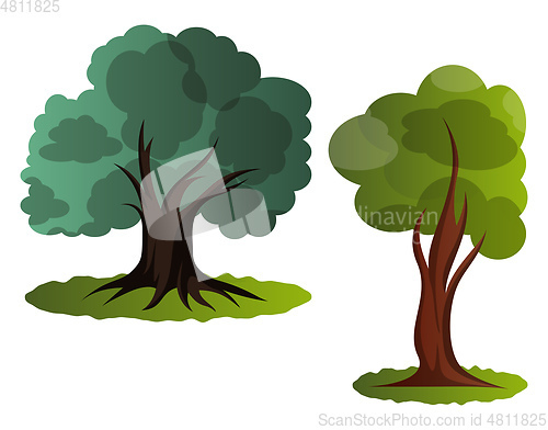 Image of Couple of green trees vector illustration on white background