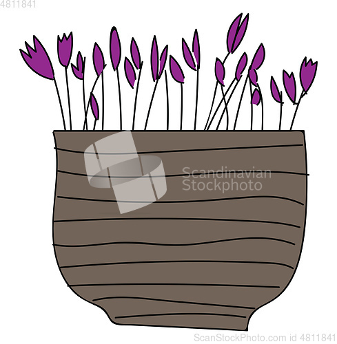 Image of Simple vector illustration of purple flowers in brown flower pot