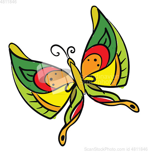 Image of Painting of a multi-colored butterfly set on isolated white back