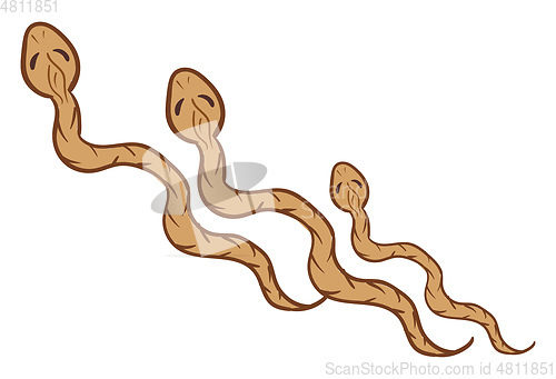 Image of Three brown serpents crawling over white background vector or co