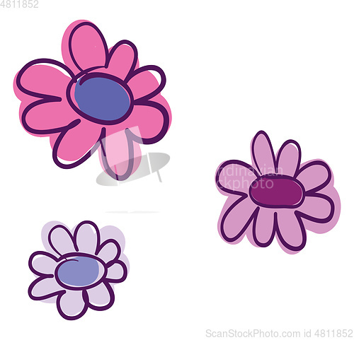 Image of Pink sunflower vector or color illustration