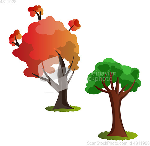 Image of Two autumn tree vector illustration on white background