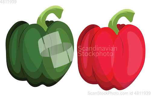 Image of Green and red bellpepper vector illustration of vegetables on wh