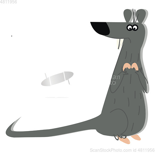 Image of A big grey color rat with its long tail is sitting on the ground