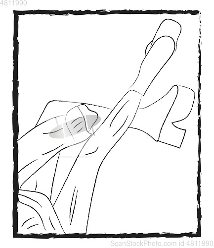 Image of An image of long legs vector or color illustration