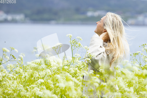 Image of Woman in a Flower Field