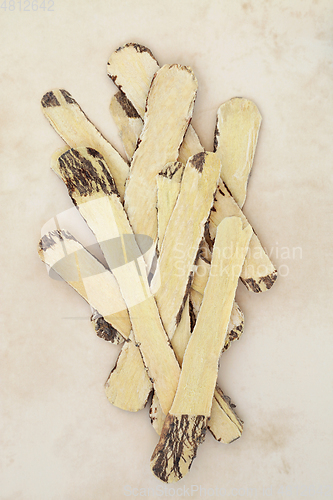 Image of Astragalus Root Chinese Herb used in Herbal Medicine 