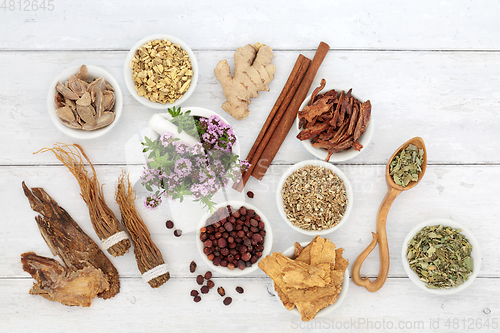 Image of Immune Boosting Herbs and Spice For Plant Based Medicine