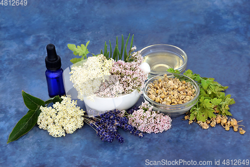 Image of Healing Herbs to Help Treat Insommnia