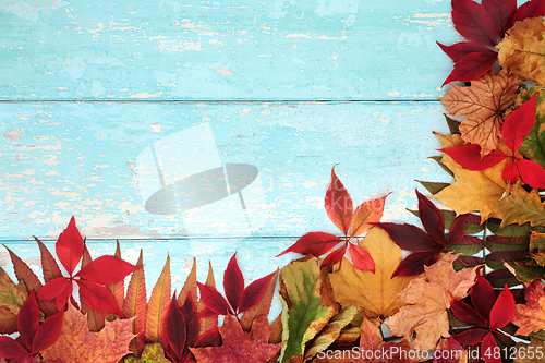 Image of Autumn Leaves on Rustic Blue Wood Background