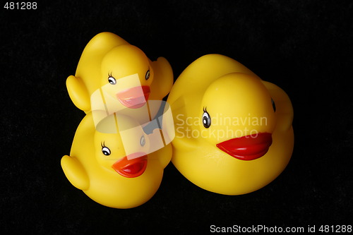 Image of Happy duck family