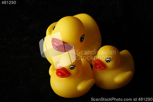 Image of Happy duck family
