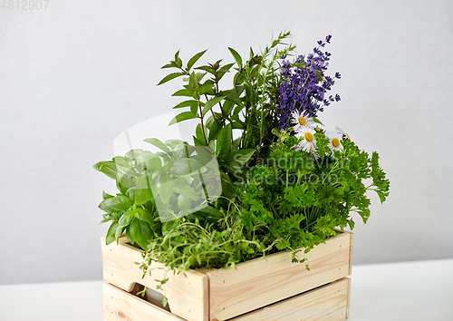 Image of green herbs and flowers in wooden box on table