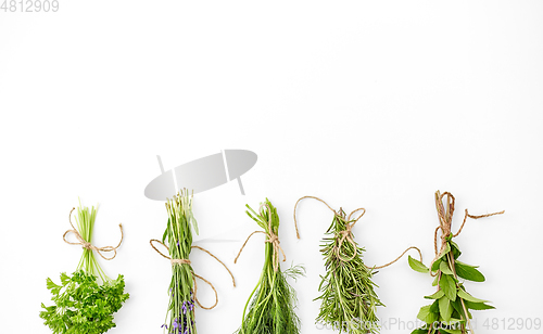 Image of greens, spices or medicinal herbs on white