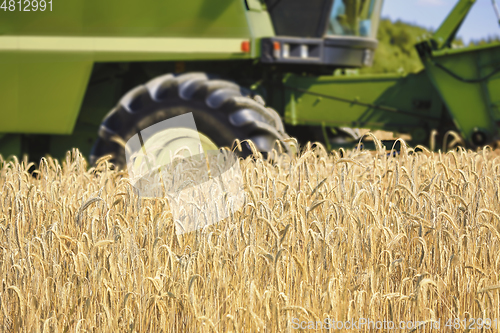 Image of Grain Field with Combine Harvester at Work