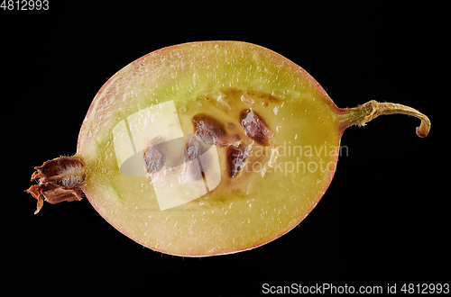 Image of half of gooseberry macro