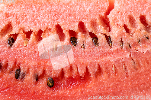 Image of watermelon texture background