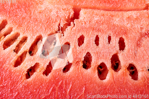 Image of watermelon texture background