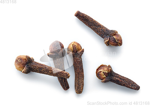 Image of cloves isolated macro