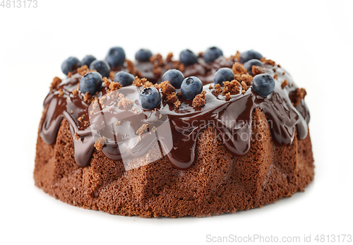 Image of freshly baked chocolate cake