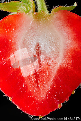 Image of strawberry slice macro