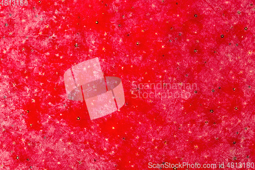 Image of mango skin macro