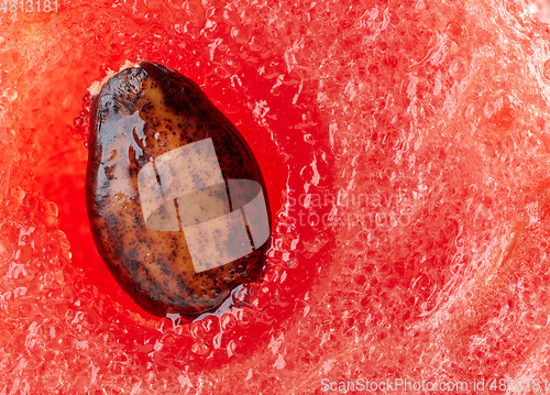Image of watermelon pulp and seed macro