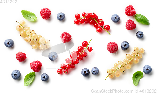 Image of composition of fresh berries and green leaves